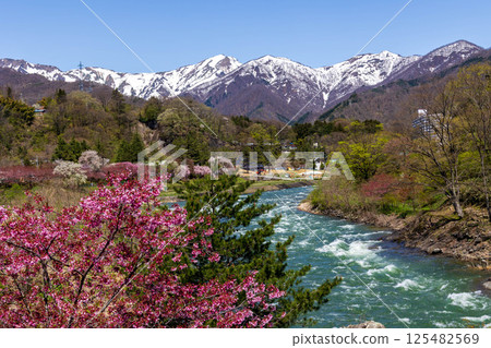 Minakami Onsen in spring: Tone River and Mt. Tanigawa seen from the Suwakyo Promenade 125482569