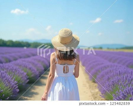 Lavender fields and the north 125482839