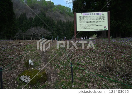 下澤片栗花園 125483055