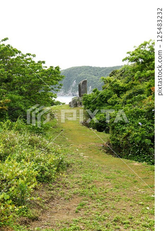 [南薩摩市野間崎小山丘上的夕陽丘公園的散步道與文學紀念碑] 125483232