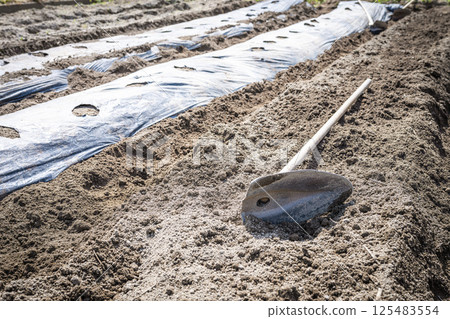 A hoe and a black mulch sheet with holes laid out on a field. Agriculture 125483554