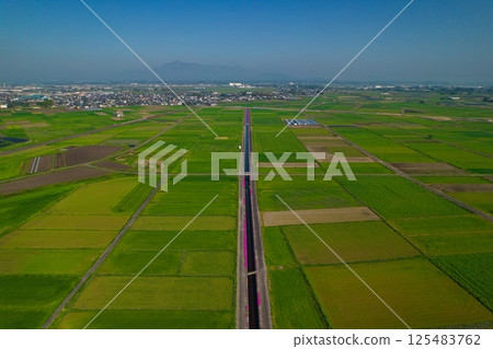 Aerial photo of Tadeike Pond in Mimata Town, spring 2025 125483762