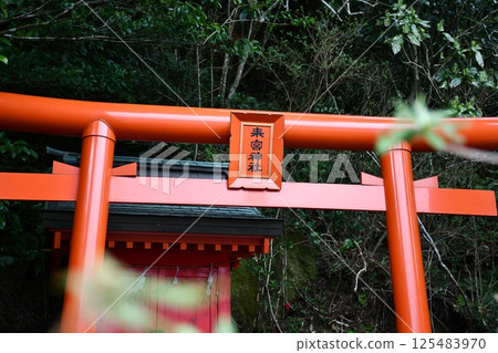 [箱根神社] 末宮神社的朱紅色鳥居 125483970