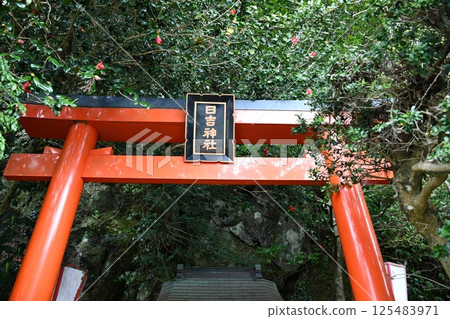 [Hakone Shrine] The torii gate and main building of Suemiya Shrine 125483971