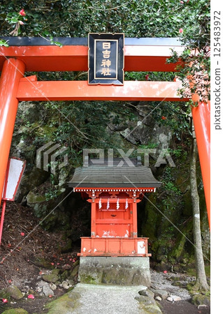 [Hakone Shrine] Torii gate of Hiyoshi Shrine 125483972