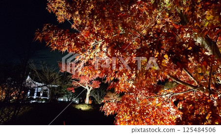 普源寺和大禦堂觀音寺的秋葉 125484506