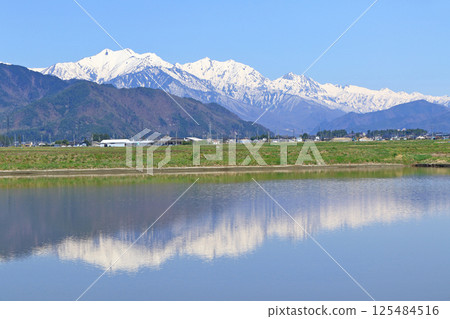 Spring from the foot of the mountain, the Northern Alps, behind Tateyama Mountain Range 125484516