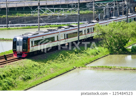 Meitetsu 2000 series express train running through fresh greenery 125484523
