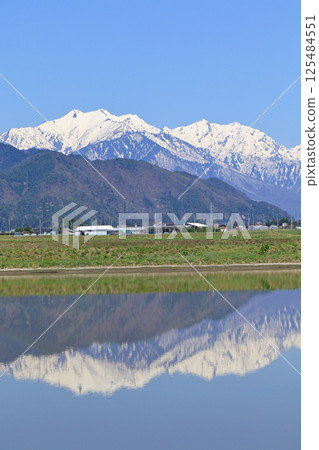 春天從山腳下，北阿爾卑斯山，在立山山脈後面 125484551