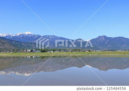 Spring from the foot of the mountain, the Northern Alps, behind Tateyama Mountain Range Spring from the foot of the mountain, the Northern Alps, behind Tateyama Mountain Range 125484556