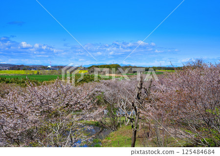 View of the Chichibu mountain range from Takao Sakura Park, Kitamoto City View of the Chichibu mountain range from Takao Sakura Park, Kitamoto City 125484684