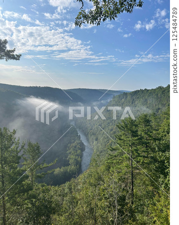 Foggy Morning Over PA Grand Canyon with Lush Forest and Scenic Views. 125484789