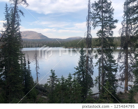 Reflection of Pines and Mountains in the Calm Waters of Trial Lake, Utah Reflection of Pines and Mountains in the Calm Waters of Trial Lake, Utah 125484795