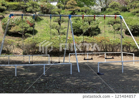Swing in the park Swing in the park 125484857
