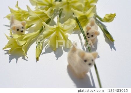奶油色春劍蘭花束和一隻毛氈小狗 奶油色春劍蘭花束和一隻毛氈小狗 125485015