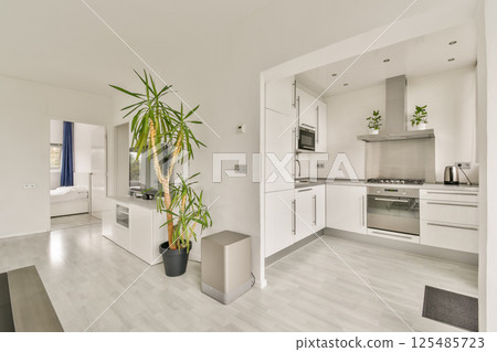 A stylish modern kitchen seamlessly integrates with a contemporary living space, showcasing sleek cabinets and green plants for a fresh ambiance. 125485723