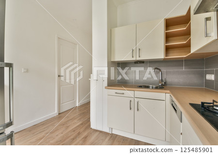 An elegantly designed modern kitchen featuring sleek cabinetry, stainless steel appliances, and a minimalistic aesthetic that enhances functionality and style. 125485901
