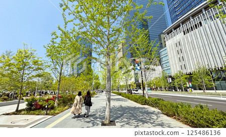 JR大阪站週邊景色:春天的Gran Green Osaka,新綠美麗 JR大阪站週邊景色:春天的Gran Green Osaka,新綠美麗 125486136