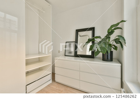 Bright and airy interior showcasing a minimalist dresser, mirror, and lush green plant, emphasizing simplicity and elegance in home decor. 125486262