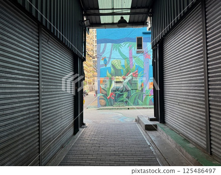 Scenery from an alley with closed shutters Scenery from an alley with closed shutters 125486497