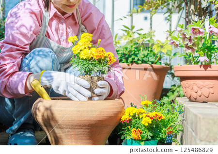 Woman planting flowers Gardening 125486829