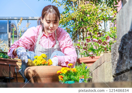 Woman planting flowers Gardening Woman planting flowers Gardening 125486834