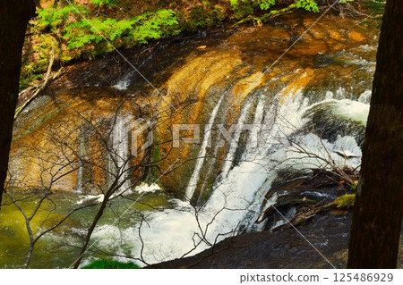 Spring in Oku-Nikko, Tochigi Prefecture 4 Spring in Oku-Nikko, Tochigi Prefecture 4 125486929