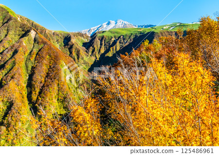 山形縣鳥海山 ~山頂白雪皚皚,山腳紅葉繽紛~ 山形縣鳥海山 ~山頂白雪皚皚,山腳紅葉繽紛~ 125486961