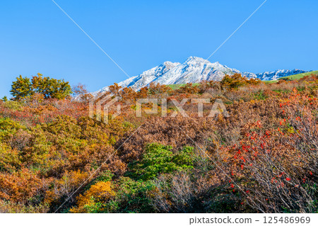 Mount Chokai, Yamagata - White snow-capped summit and autumn foliage at the base - Mount Chokai, Yamagata - White snow-capped summit and autumn foliage at the base - 125486969