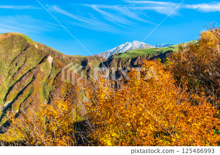 Mount Chokai, Yamagata - White snow-capped summit and autumn foliage at the base - 125486993