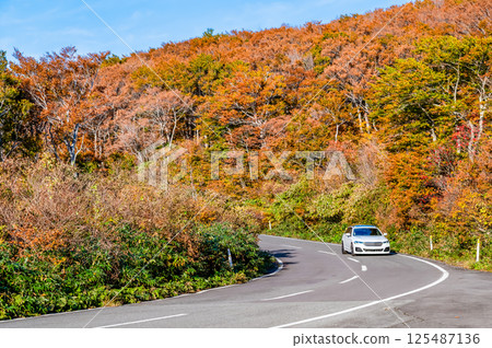 Mt. Chokai Blue Line dyed in autumn leaves Mt. Chokai Blue Line dyed in autumn leaves 125487136