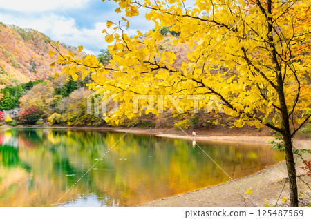 山梨縣的黃葉中的汐蓮湖 125487569