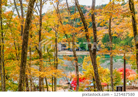 Lake Shioren in yellow leaves in Yamanashi 125487580