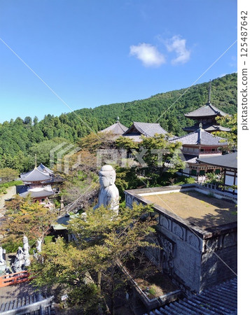 Tsubosaka Temple Tsubosaka Temple 125487642