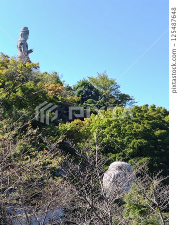 坪坂寺 125487648