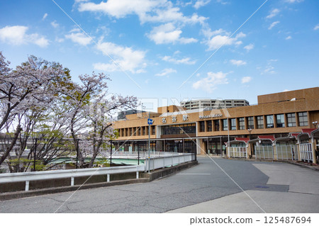 櫻花與神戶市營地鐵名谷站 125487694