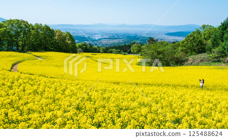 Nanohakura Takahara Nanohana Farm Field 125488624