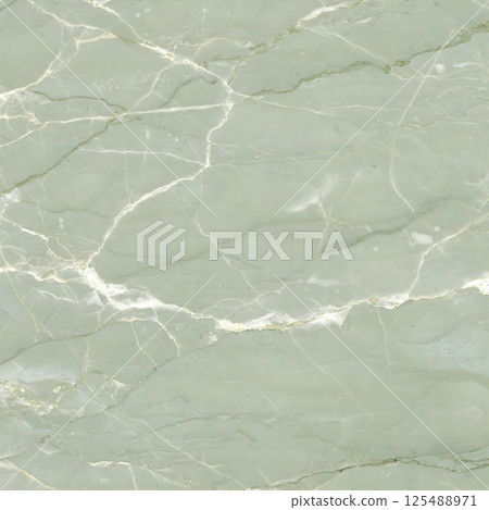 A pale green surface features delicate, flowing white and darker green veining 125488971