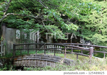 綠橋 125489025