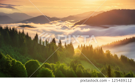 Misty mountains bask in golden sunrise 125489112