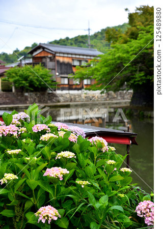 Scenery of Hachimanbori in Omihachiman City, Shiga Prefecture 125489880