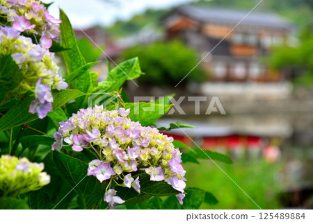Scenery of Hachimanbori in Omihachiman City, Shiga Prefecture Scenery of Hachimanbori in Omihachiman City, Shiga Prefecture 125489884