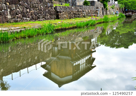 Scenery of Hachimanbori in Omihachiman City, Shiga Prefecture 125490257