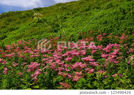 At the summit of Mount Ibuki, which straddles Gifu and Shiga prefectures, the weather was clear and visibility was wide. At the summit of Mount Ibuki, which straddles Gifu and Shiga prefectures, the weather was clear and visibility was wide. 125490420