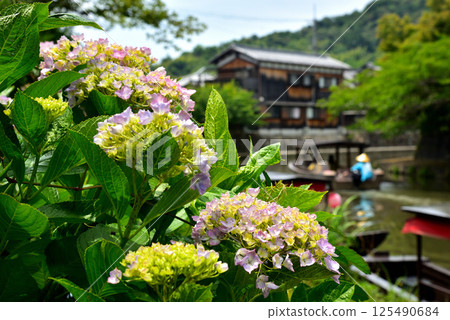 滋賀縣近江八幡市八幡堀風景 滋賀縣近江八幡市八幡堀風景 125490684