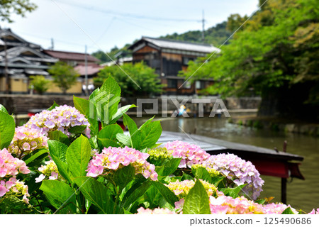 Scenery of Hachimanbori in Omihachiman City, Shiga Prefecture 125490686