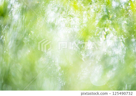 公園裡的新綠，閃閃發光的幻想 125490732