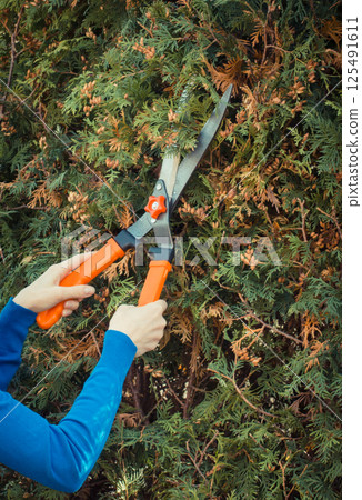 Hand of woman using gardening tool to trim bushes Hand of woman using gardening tool to trim bushes 125491611