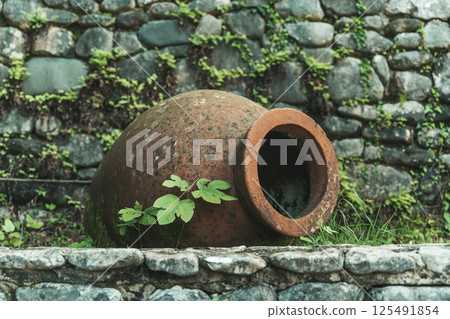Qvevri for wine. Traditional Georgian clay vessels kvevri for storing Georgian wine Qvevri for wine. Traditional Georgian clay vessels kvevri for storing Georgian wine 125491854