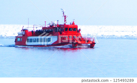 Spectacular drift ice and wild birds 125493289